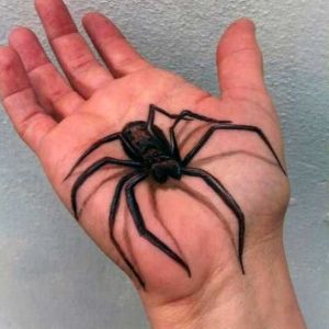 tatuaje 3D araña