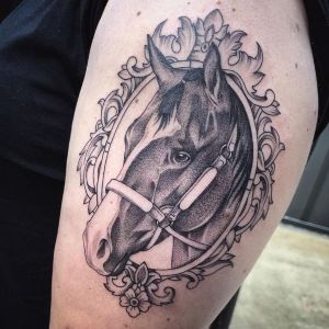 tatu de caballo