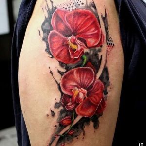 diseño de tatuaje de orquideas