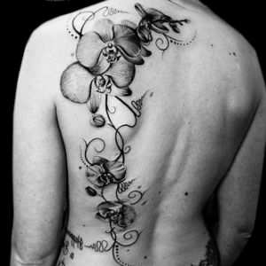 tatu de orquideas