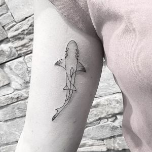 tattoo de tiburon